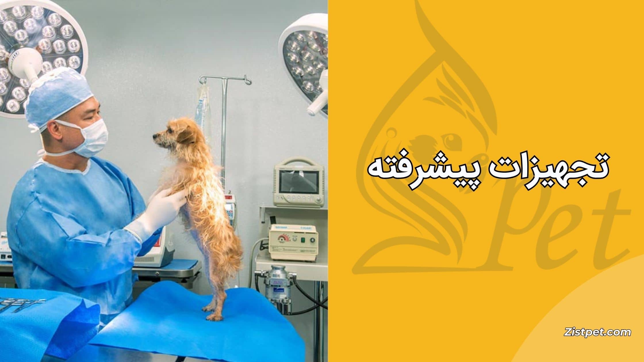 دامپزشکان تهران دارای تجهیزات درمانی پیشرفته